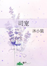 司宠